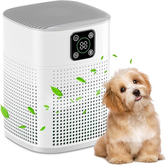 Portable Air Purifier with HEPA Filter