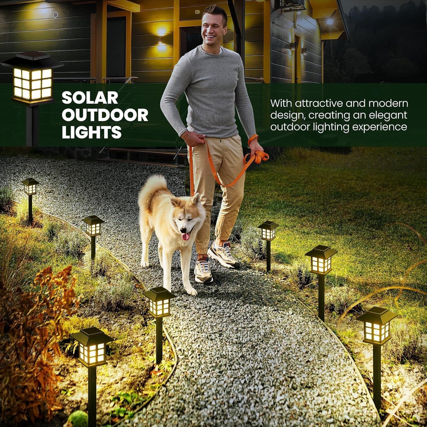 LED Solar Garden Lights (Set of 6)